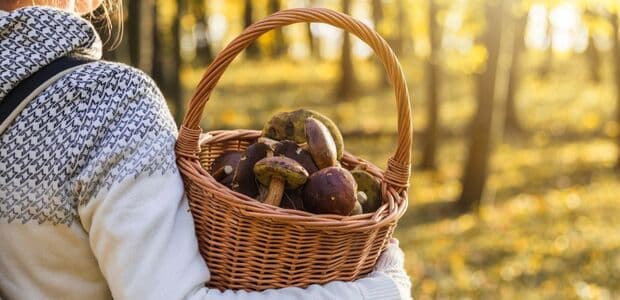 Každý rok sa na Slovensku otrávia hubami desiatky ľudí